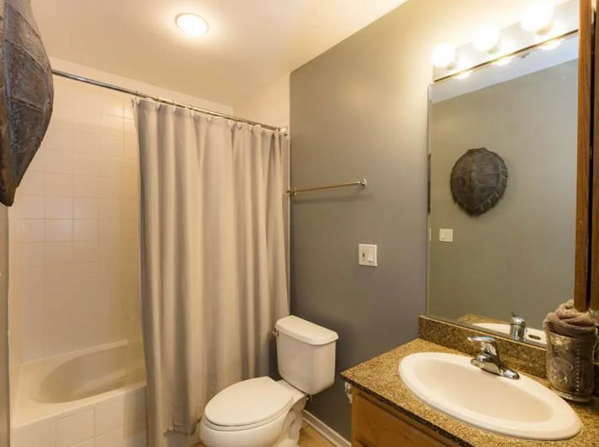 1 bed, 800 sqft, $2,250 — Photo 3