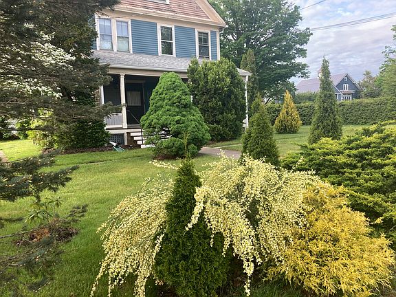 Front Main Entry onto Porch to turn back and enjoy all the blooming plants, shrubs and trees all seasons.
Yellow profusion of Scottish Broom!