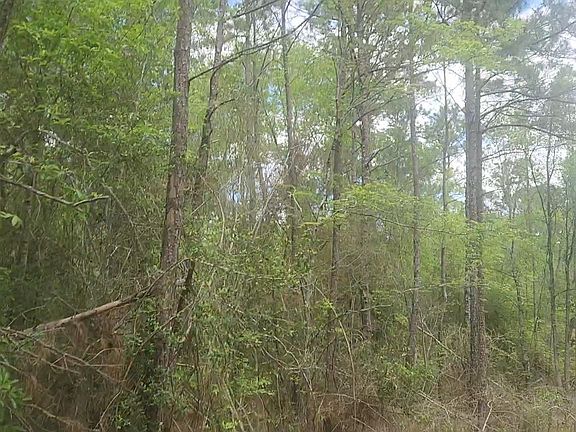 4th image of LOT 5 Pin Oak Dr
