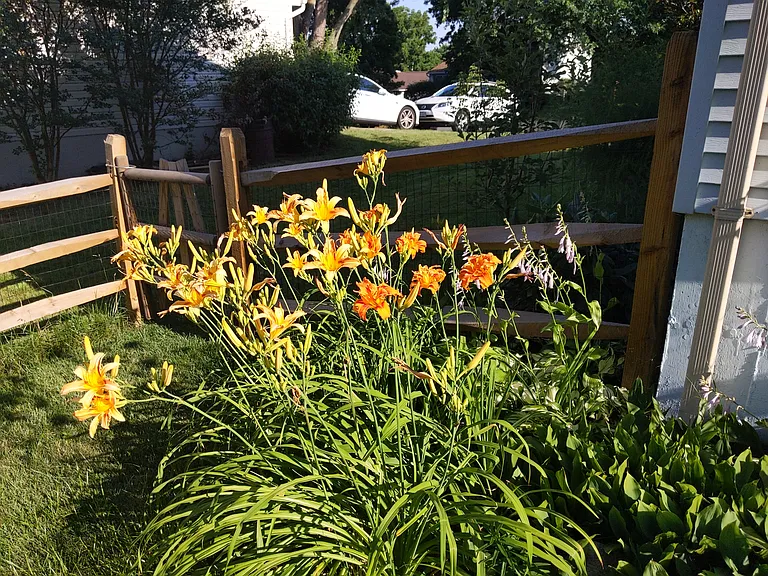 Streamvale Cir — Photo 81
