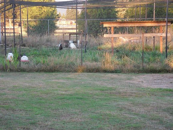 5th image of 40520 244th Ave SE