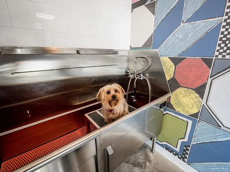 WAG Pet Spa bathing station
