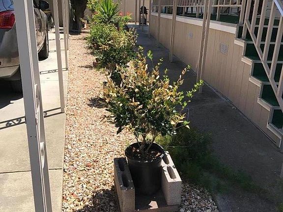3rd image of 625 Hillsdale Ave #140