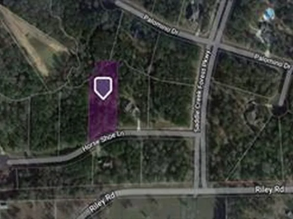 28200 Horse Shoe Ln, Waller, TX 77484