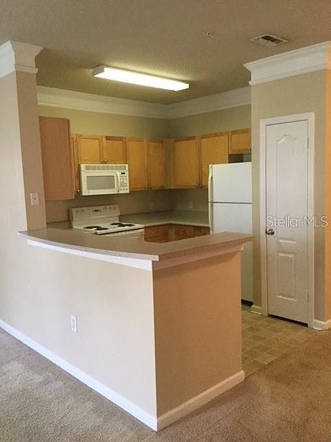 2nd image of 8824 Villa View Cir Unit 307