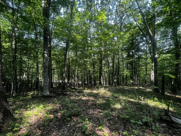 Edmundson Rd, Langsville, OH 45741