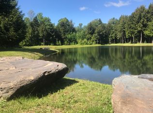 74 Dimmick Rd, Gansevoort, NY 12831