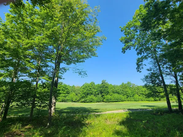 20 Fern Loop Dr, Mc Henry, MD 21541