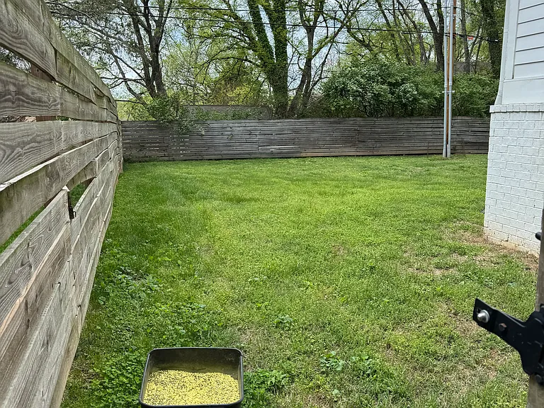 Backyard or lawn view from left side of the house.