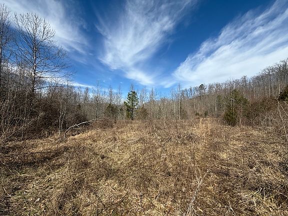 Some of the old growth fields near the middle area of the property