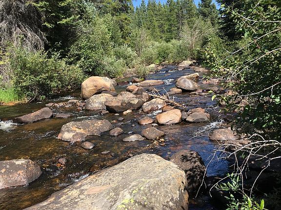 2nd image of 165 N Fork Spur