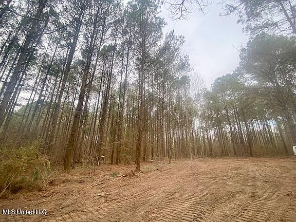 3rd image of Crawley Rd