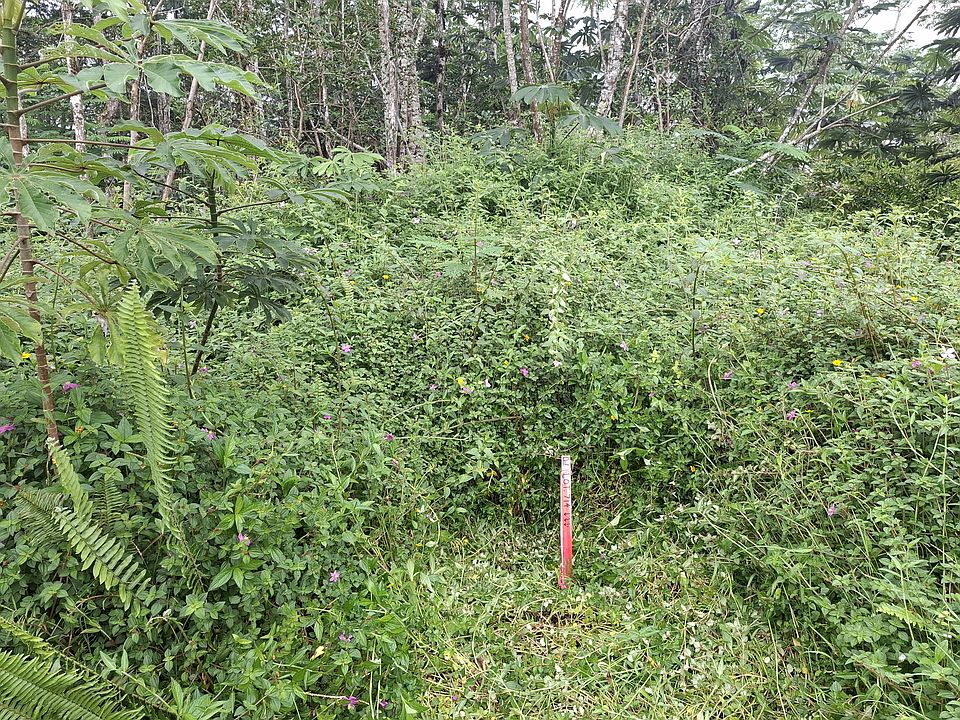 2nd image of 14-3458 Hilo Rd Lot 714