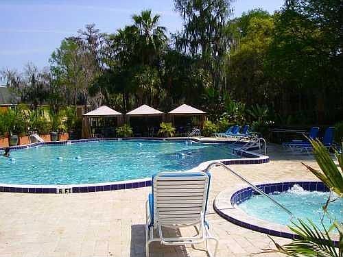 Pool and Spa