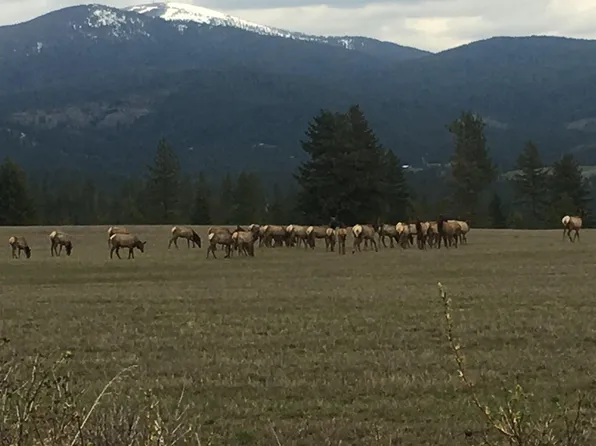 0 E Orchard Bluff Rd Lot C, Chattaroy, WA 99003