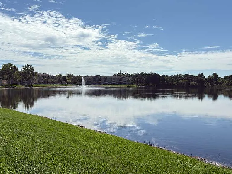 Lake view