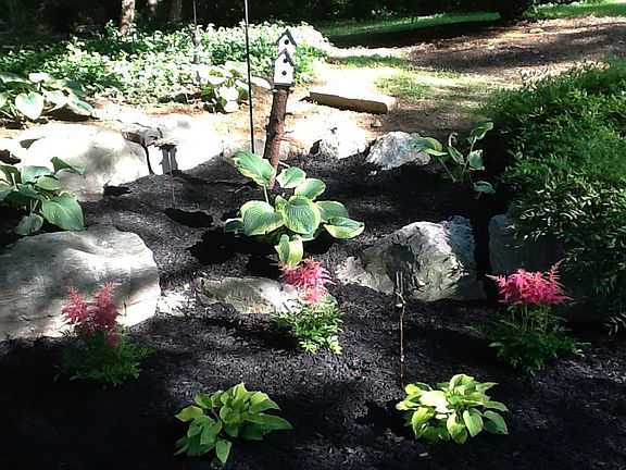 New Landscaping 2013/2014