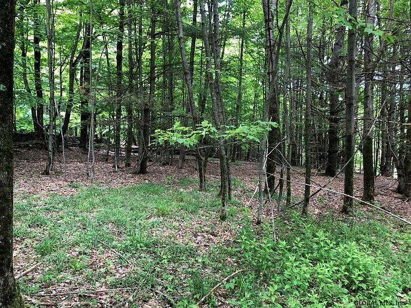 4th image of EAGLE MOUNTAIN Road