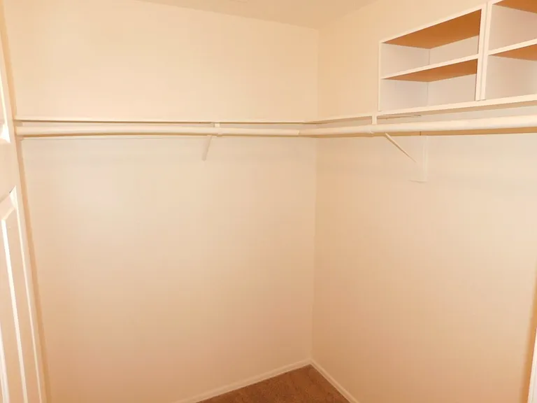 2517 Banora Point Dr — Photo 11