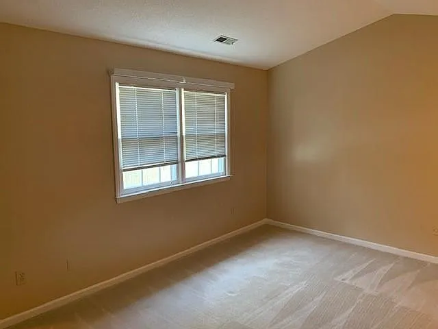 112 Lake Hollow Cir — Photo 11