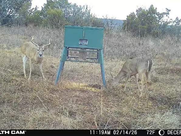 81 County Road 154 Rd, Tuscola, TX 79562