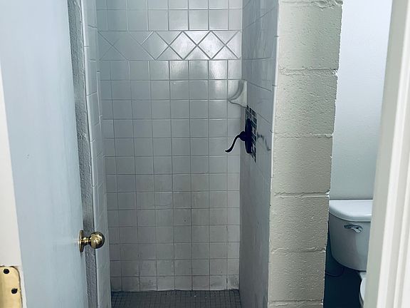 5th image of 1005 E Adams Ave