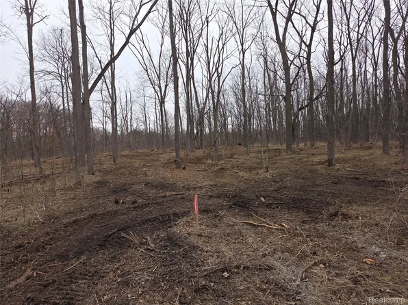 PARCEL Cullen Rd #D, Hartland, MI 48353