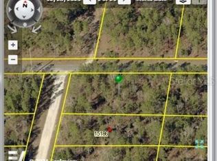 13350 Barnevelde Rd, Weeki Wachee, FL 34614