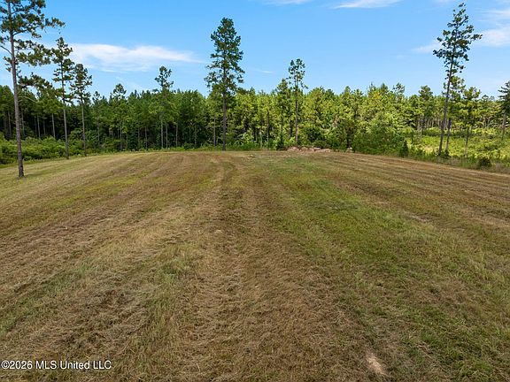 2nd image of 48 Clear Pines Dr