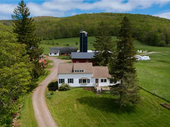 2400 Gladstone Hollow Rd, Andes, NY 13731