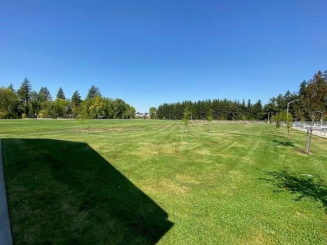Community Park