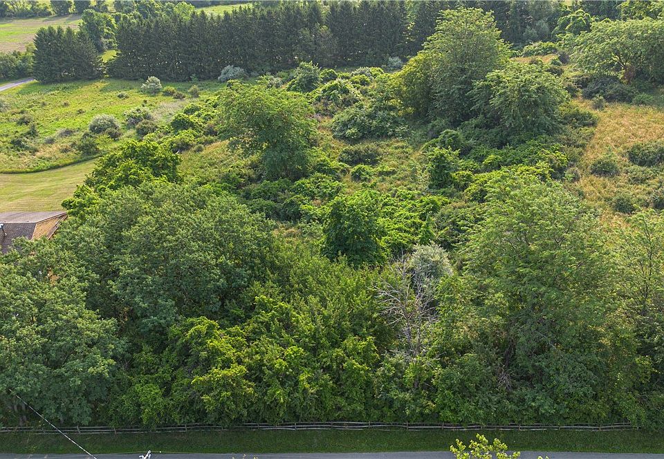 1st image of Lanning Rd Lot 19