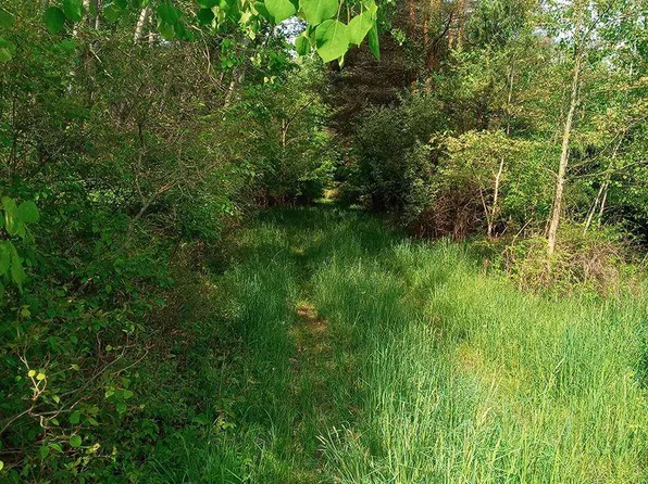 0 County Line Rd, Byron, MI 48418