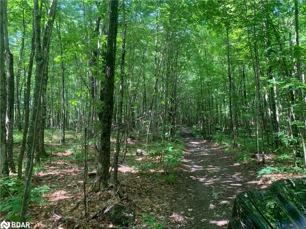 0 Clareview Rd, Tweed, ON K0K 2A0