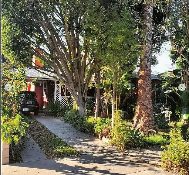 Daisy Ave — Photo 6