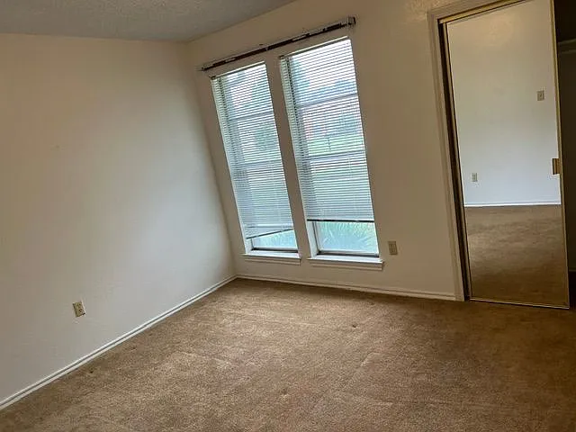 2807 Wildplum Dr — Photo 11