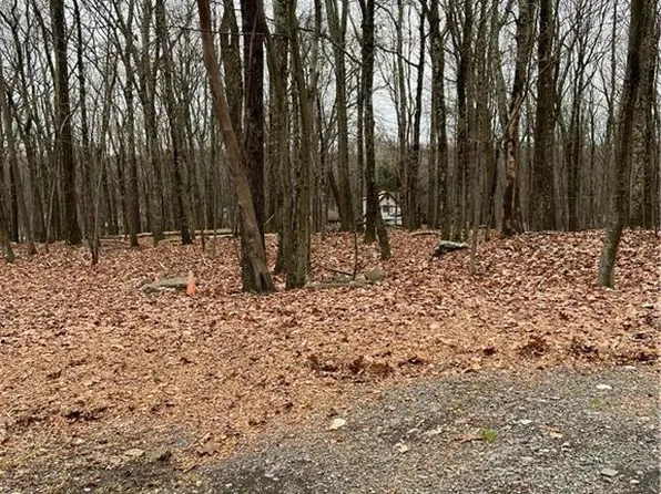 302 Traverse Rd, Dingmans Ferry, PA 18328