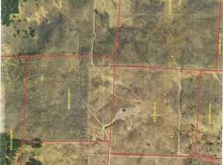 6696 N Larson Rd, Fountain, MI 49410