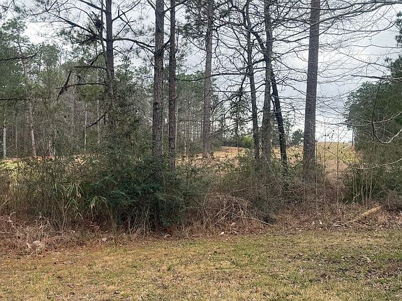 5th image of 32 Brookwood Ter