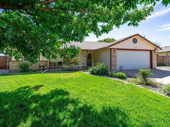 740 Gold Rush Dr, Fruita, CO 81521