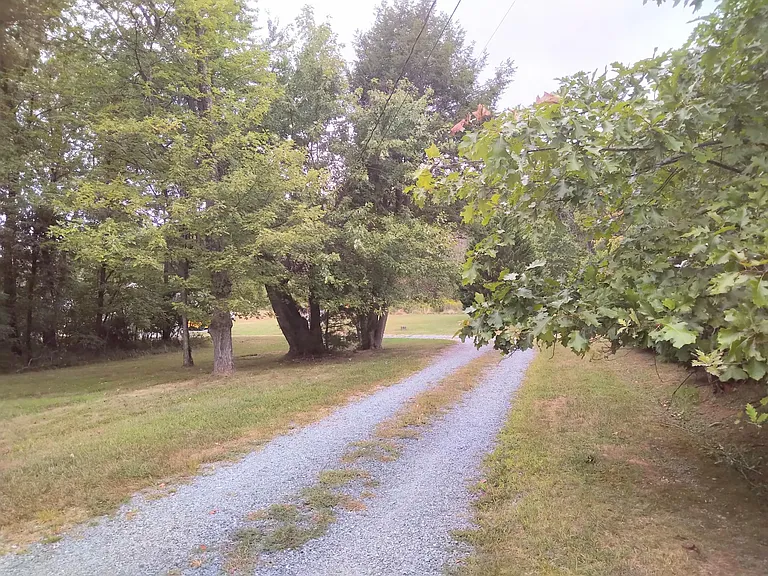 Driveway
