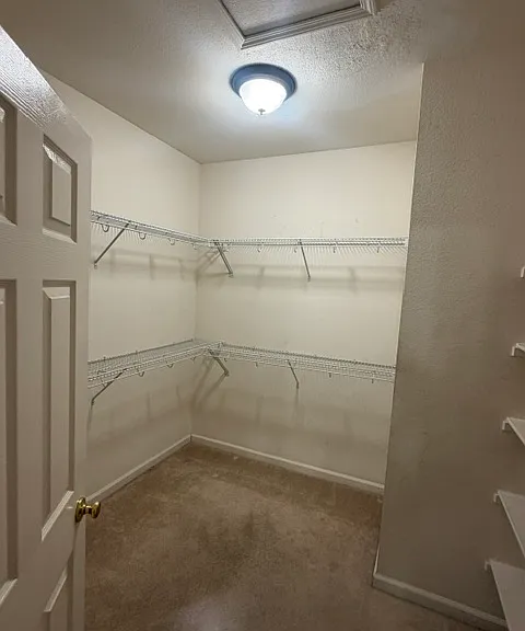 3668 Waynesboro Dr — Photo 22