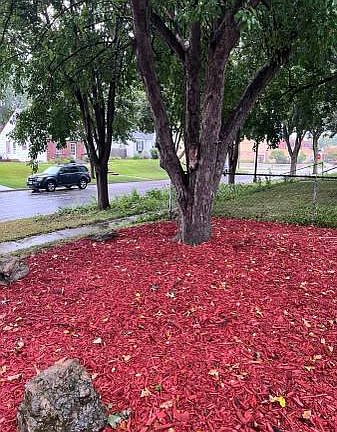 2 new mulch_10132025