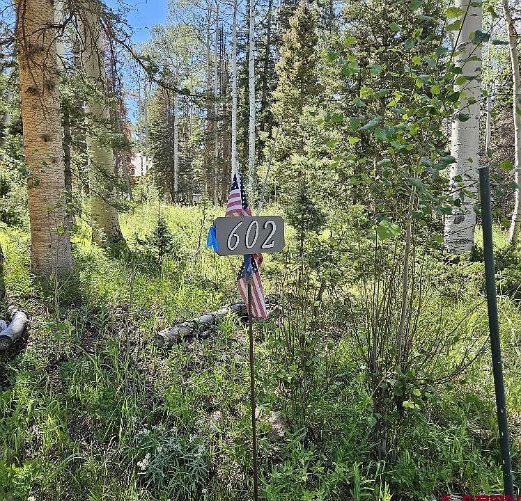 1st image of 602 Snowshoe Lane