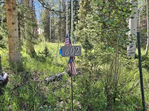 602 Snowshoe Lane, Cimarron, CO 81220