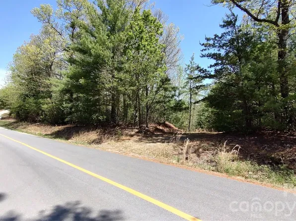 0 Staghorn Rd, Purlear, NC 28665