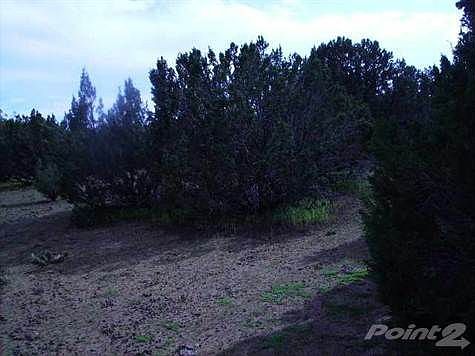3rd image of 8353 Bear Meadow Dr