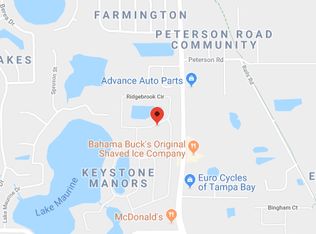 8407 Ridgebrook Cir, Odessa, FL 33556