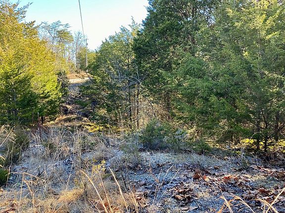 5th image of 48 Buck Horn Rd Lot 48AB