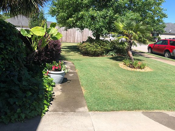 3rd image of 173 Marigold Dr